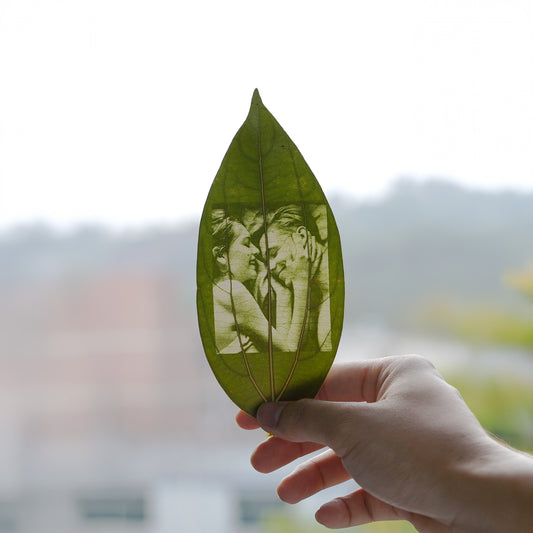 Leaves suitable for laser engraving